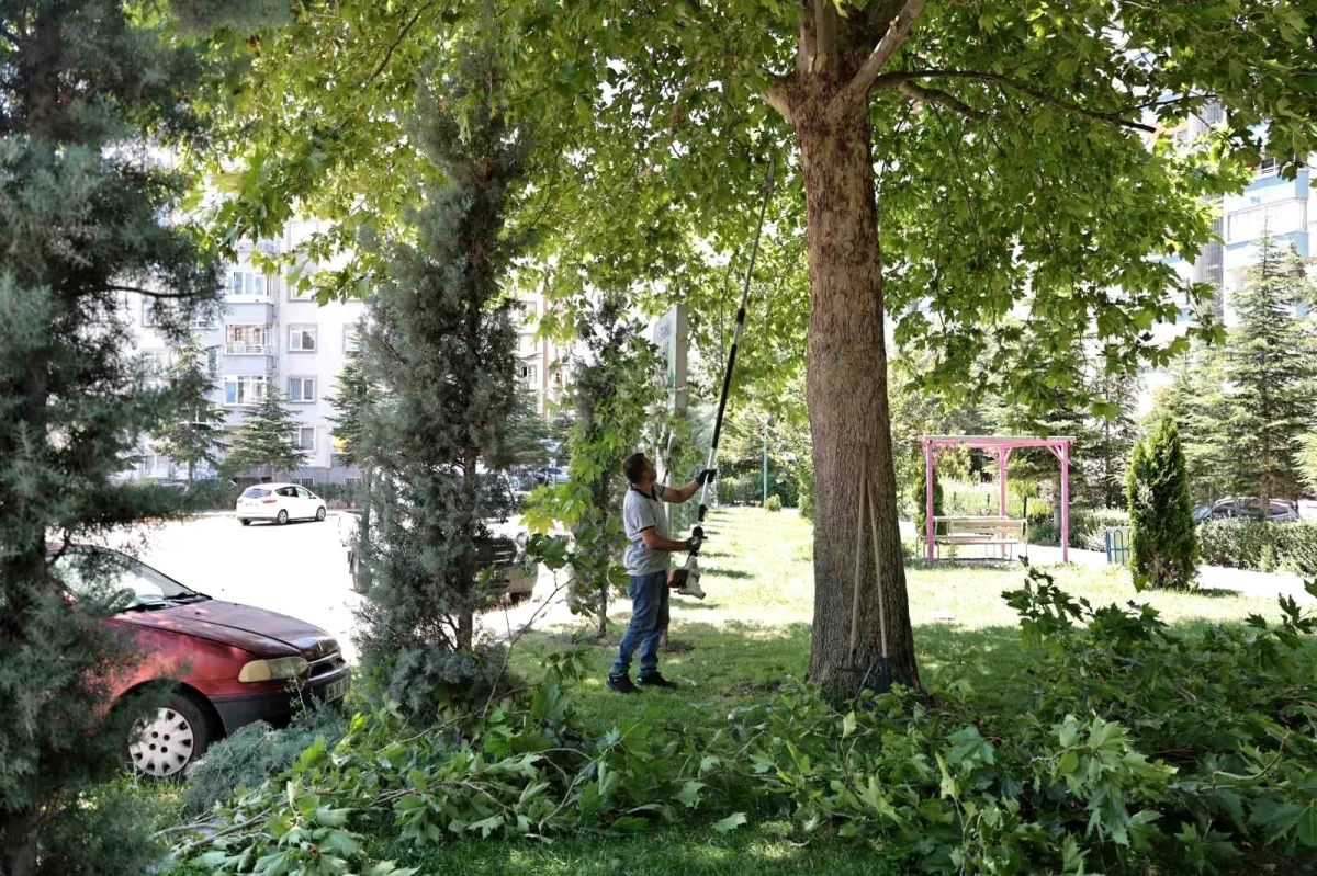 Talas Belediyesi Park ve Bahçelerde Bakım ve Yenileme Çalışması Yapıyor