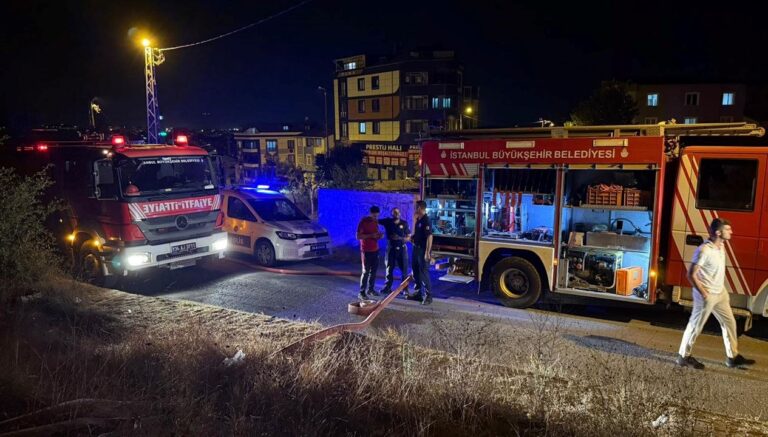 istanbulda-orman-yangini-alevler-3-bin-metrekareye-yayildi-18JVAjgu.jpg